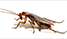 home_biker_hovercolor_icon1
