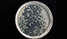 home_biker_hovercolor_icon1